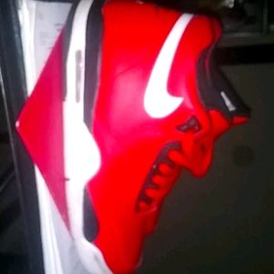 I am selling the Air Jordan Flights